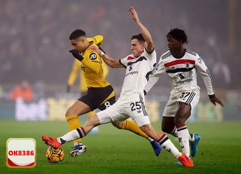 Tỷ Lệ Cá Cược OK8386 - Khái niệm cơ bản về tỷ lệ kèo